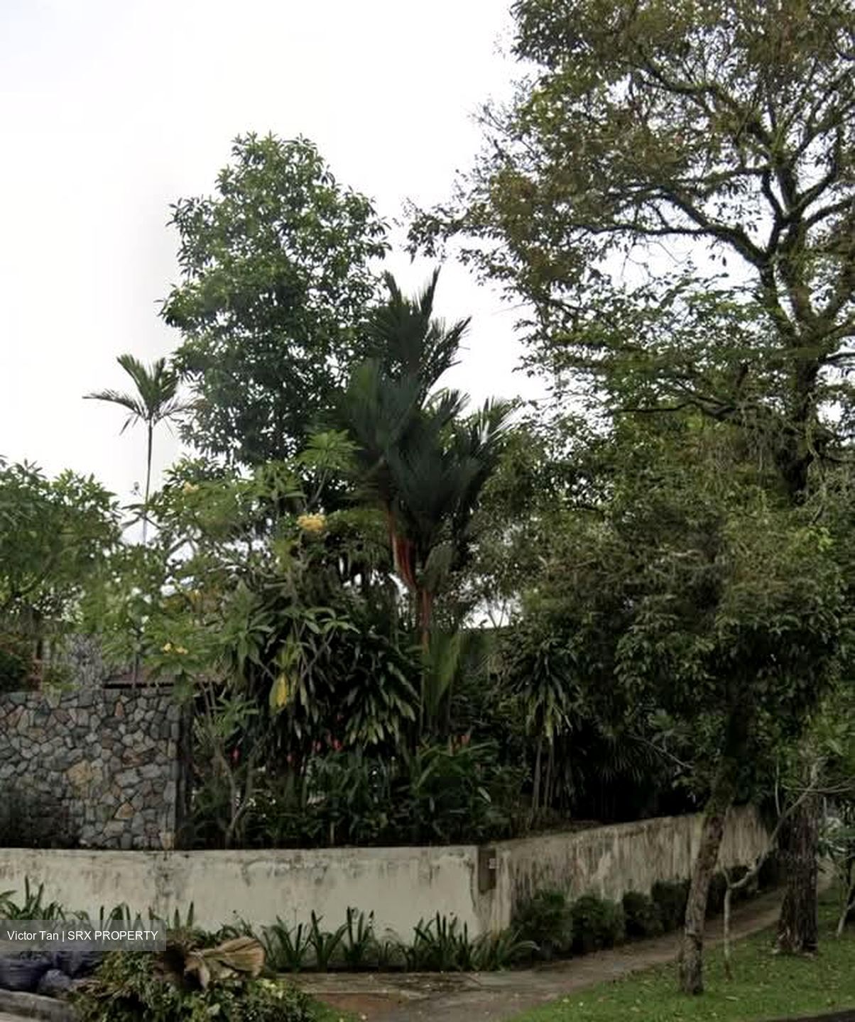 Tanglin Road (D10), Detached #556201801